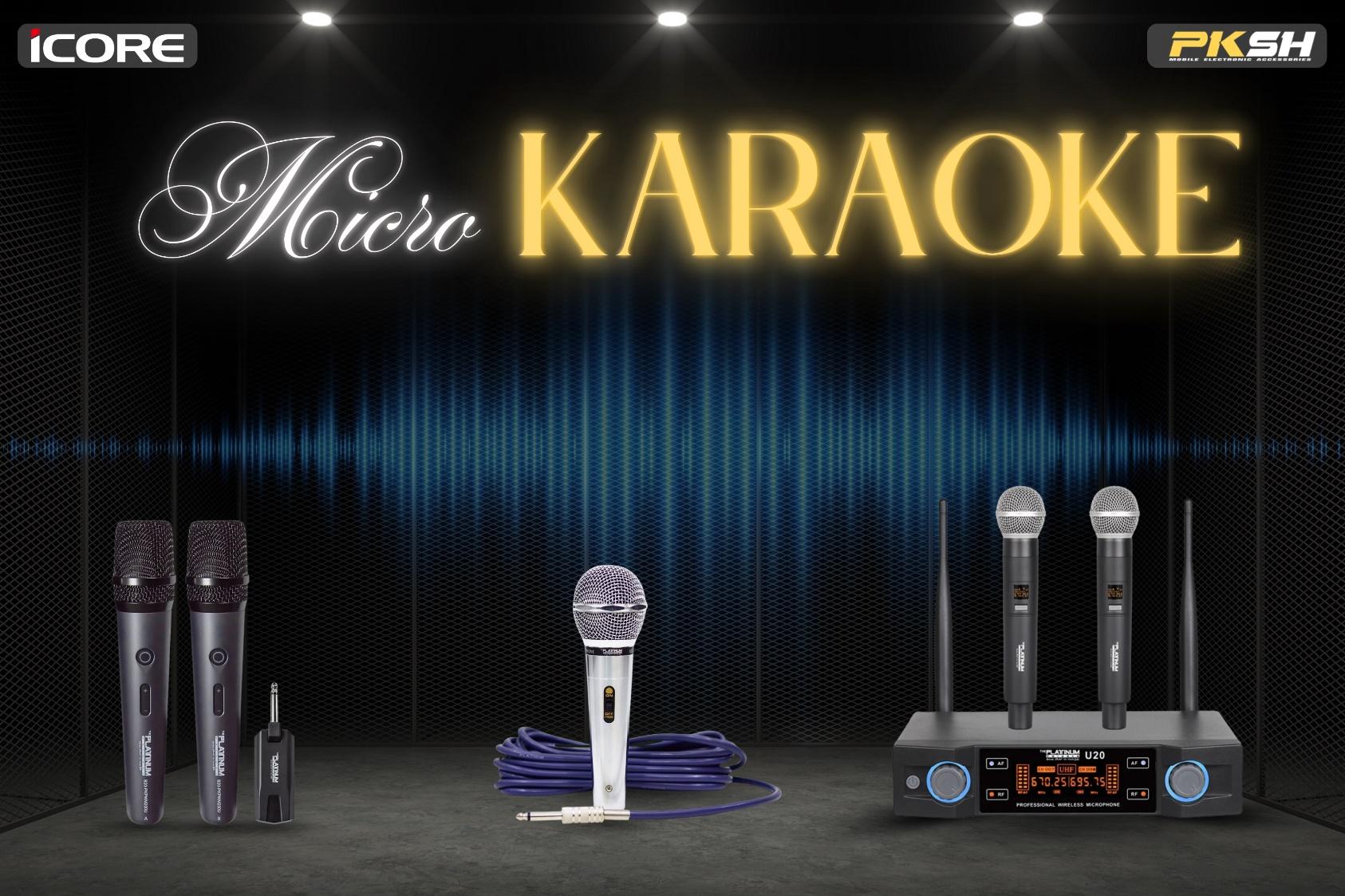 Micro karaoke chất lượng cao